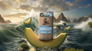 Coastal Mist Invisible Glide Deodorant - Warm Blend