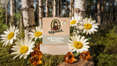 Birchwood Breeze - Daily Fresh