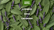 Alpine Sage Deodorant - Active Fresh