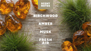 Birchwood Breeze - Daily Fresh