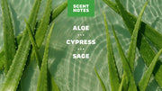 Cool Fresh Aloe Deodorant - Soft Glow
