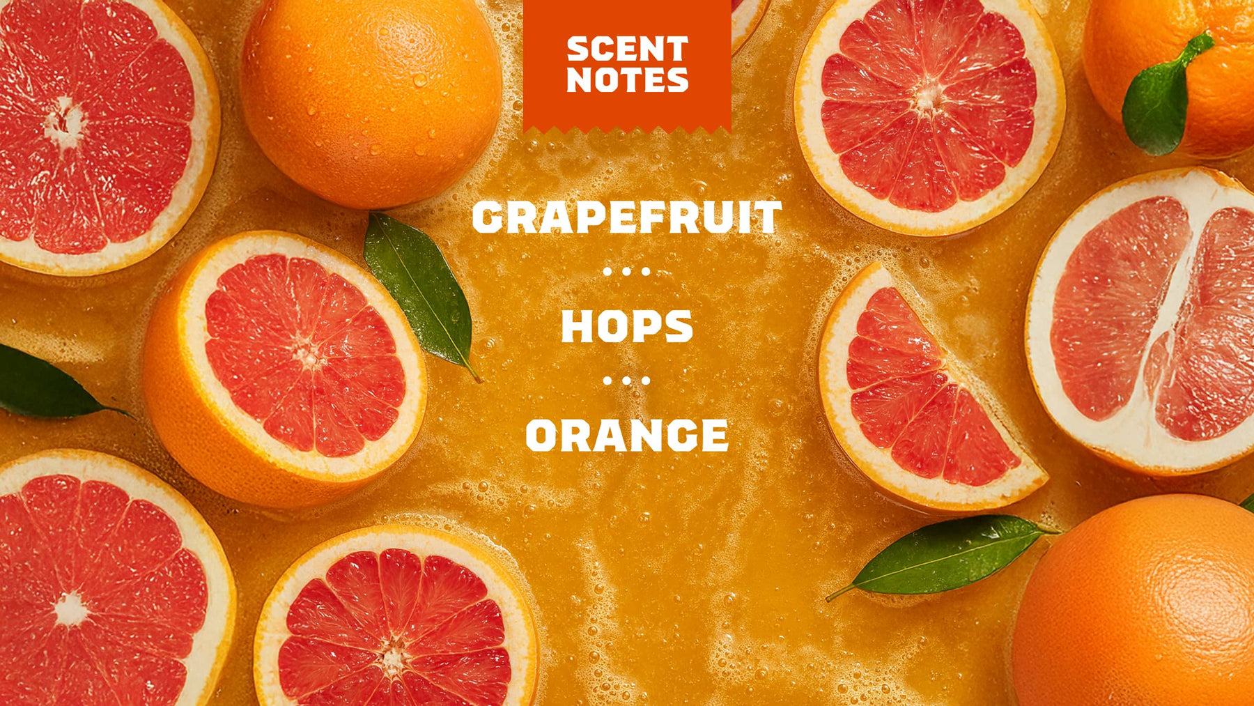 Grapefruit IPA - Simple Touch