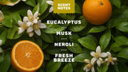 Mountain Meadow Deodorant - Soft Layer