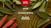 Sandalwood Summit Deodorant - Soft Layer