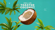 14 oz Coconut Castaway Body Wash - Bright Scent