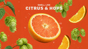 Grapefruit IPA - Simple Touch