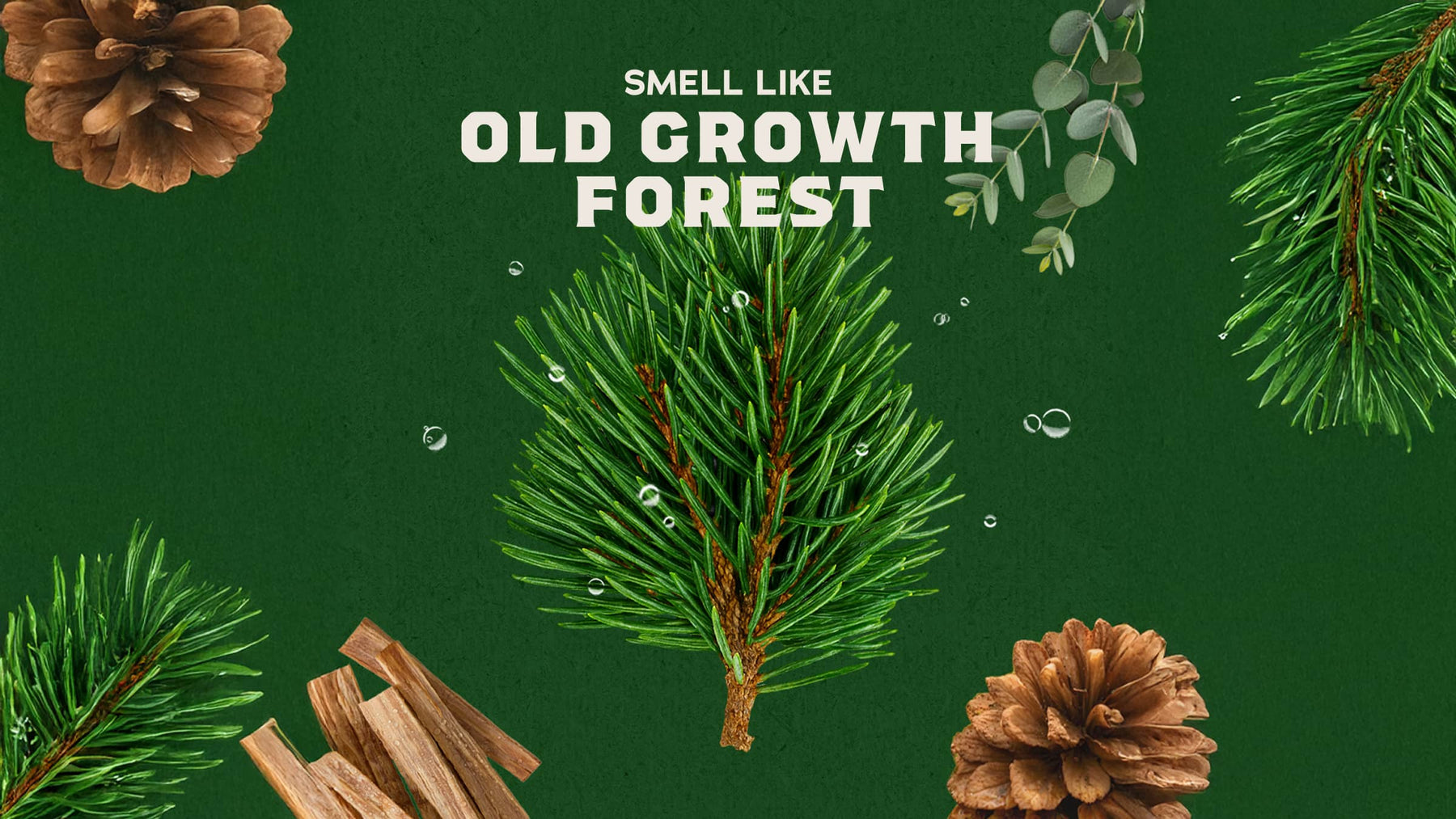 Pine Tar Shampoo - Daily Scent