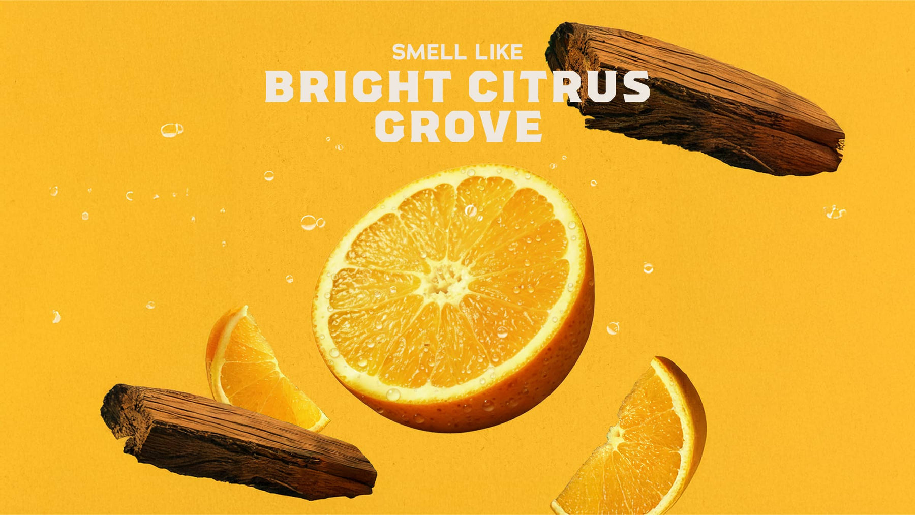 Summer Citrus Shampoo - Fresh Notes