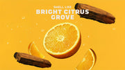 Summer Citrus Deodorant - Soft Layer
